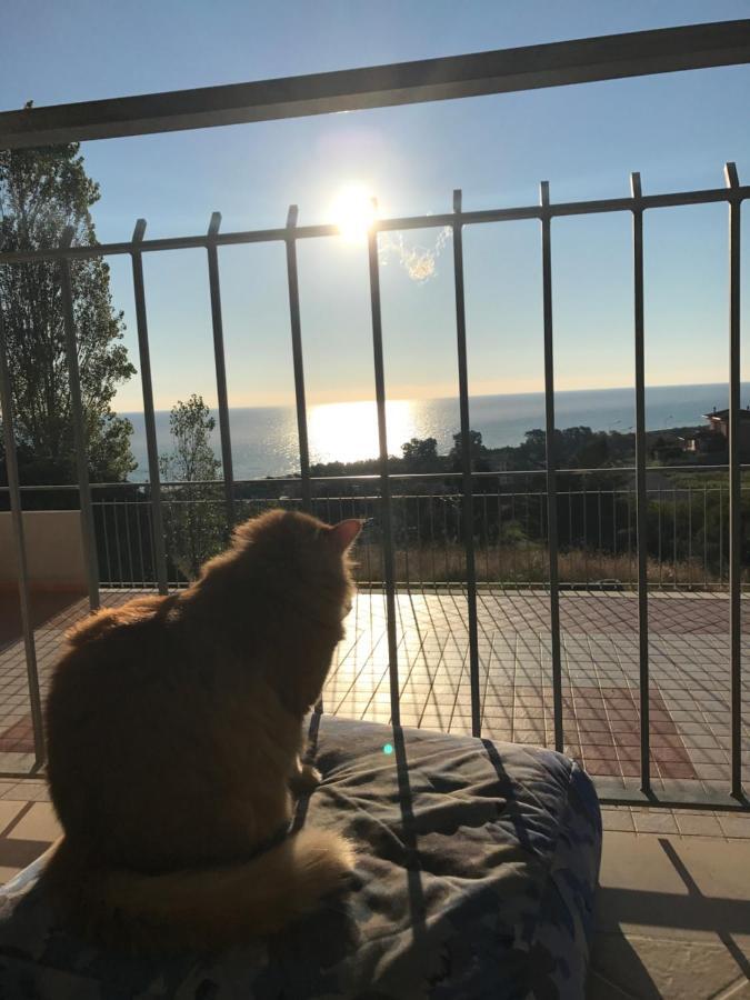 Luna Apartaments Badolato Marina Buitenkant foto